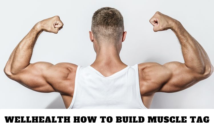 Wellhealth How to Build Muscle: The Ultimate Guide to Fast Muscle Gain